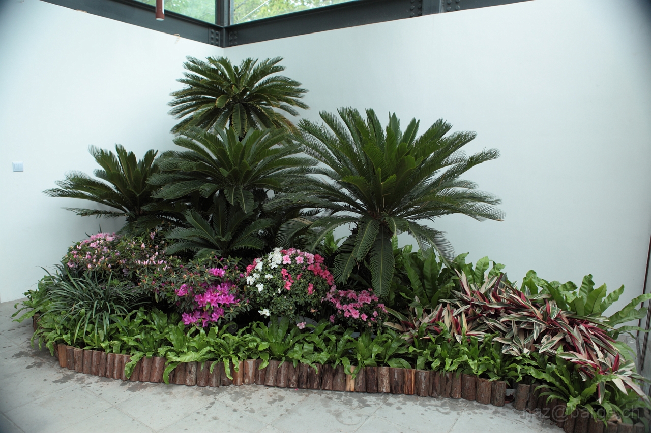 EOS 5D Mark II16_04_20135026.JPG